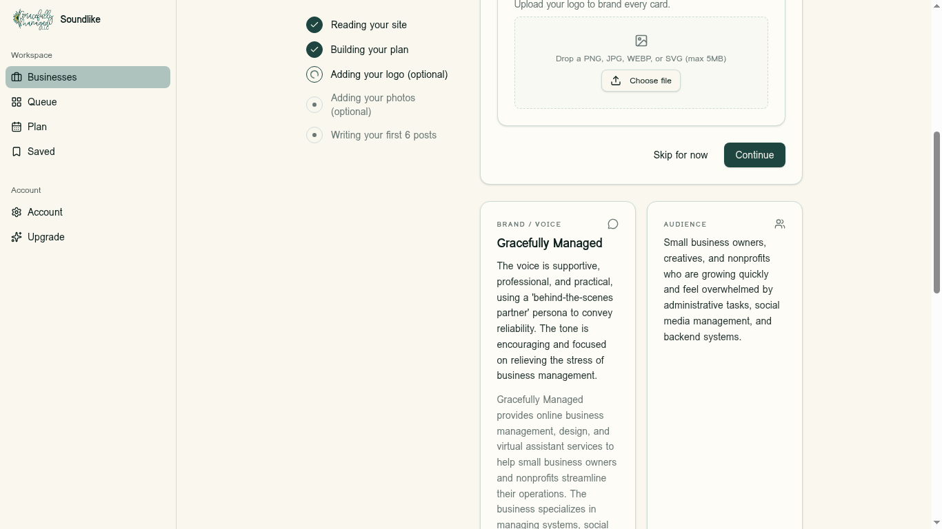 Brand and audience panels showing voice, description, and audience extracted from the live site.